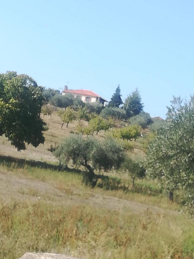 Casa Das Argolas Macedo de Cavaleiros Bagian luar foto